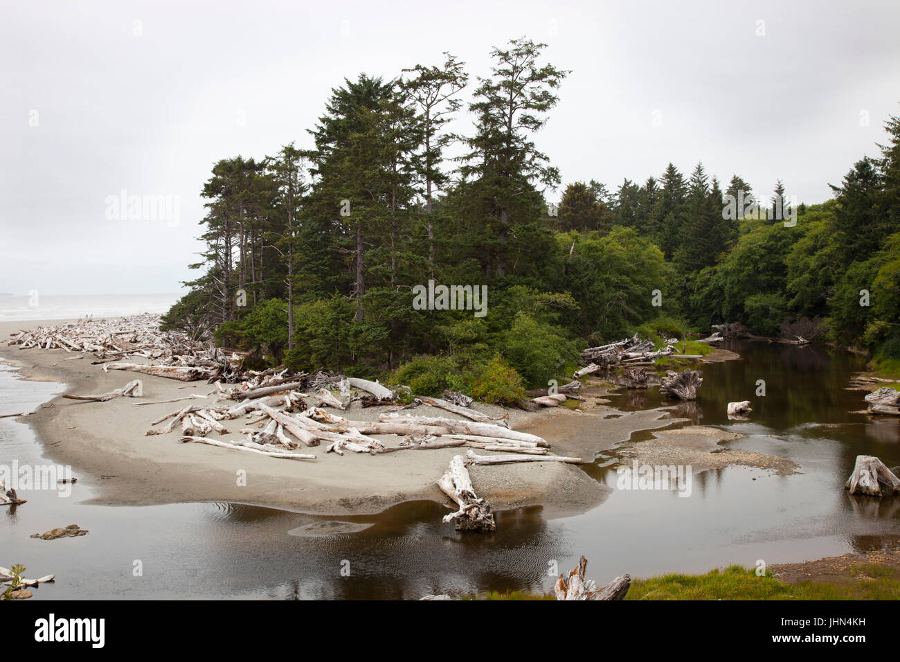 Kalaloch beach Banque de photographies et d’images à haute résolution ...