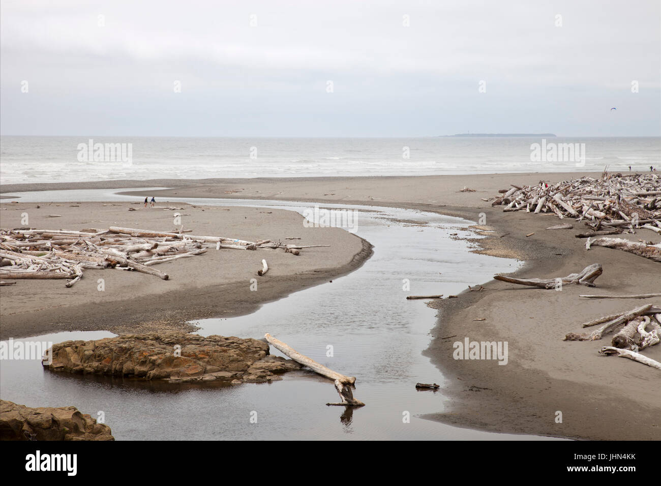 Kalaloch Beach, État de Washington, USA, Amérique Latine Banque D'Images