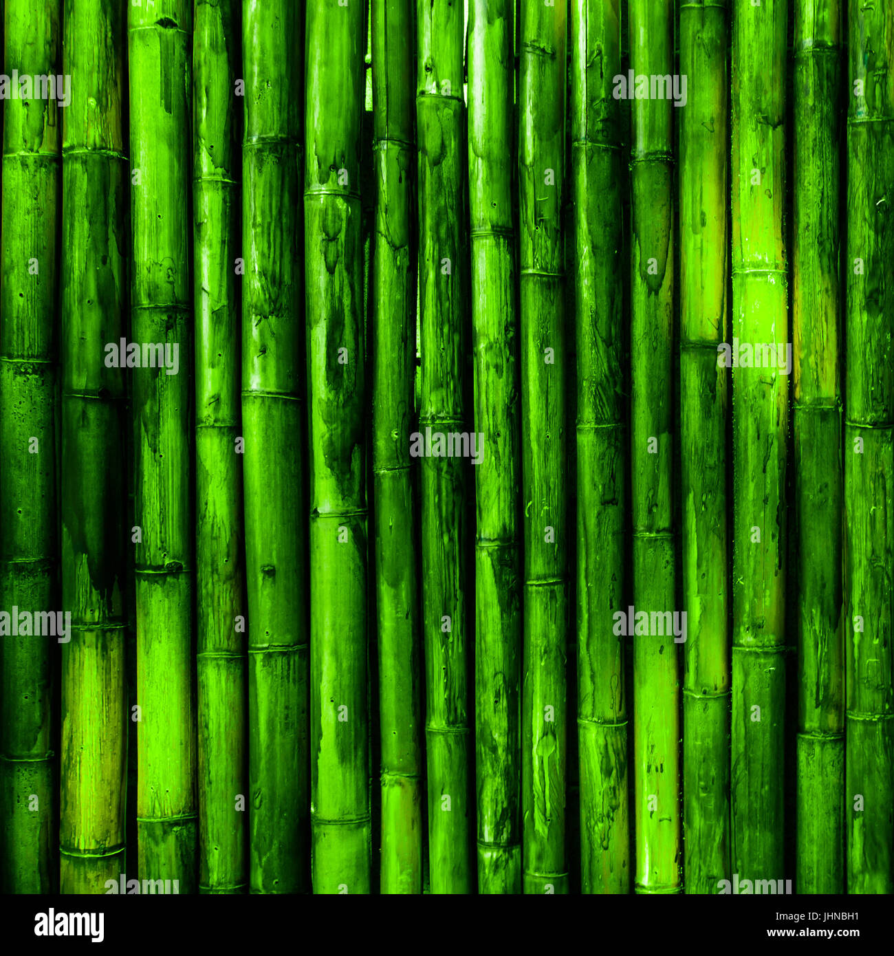 La texture du mur de bambou Banque D'Images