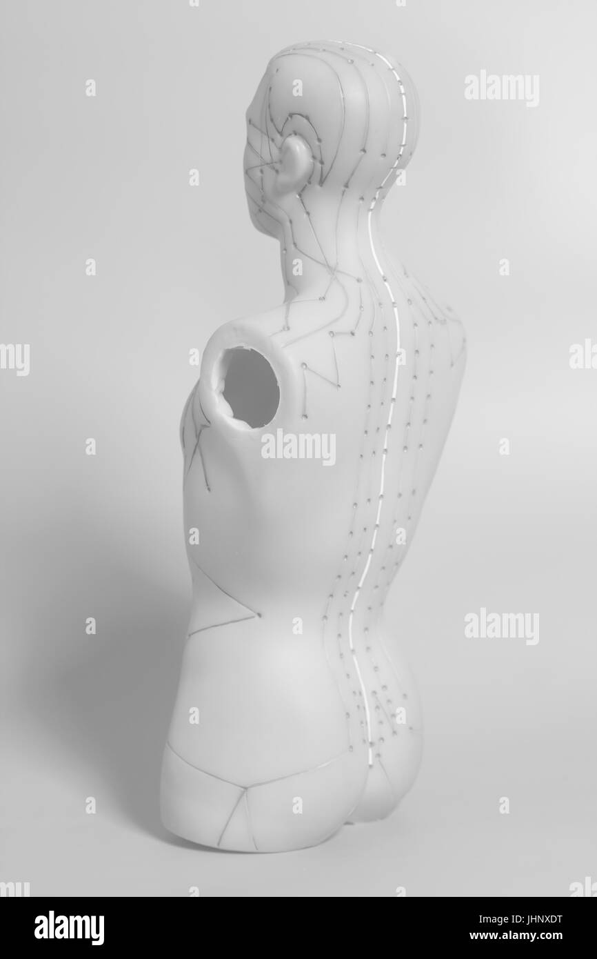 Le modèle des droits de l'acupuncture médicale sur fond gris Banque D'Images