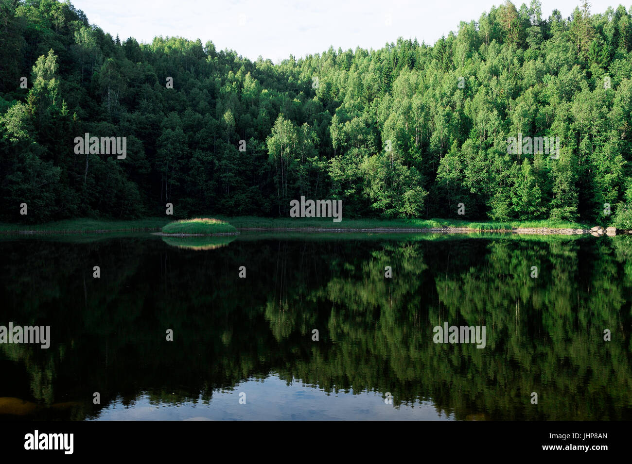 Des arbres se reflétant dans l'eau, la Suède. Banque D'Images