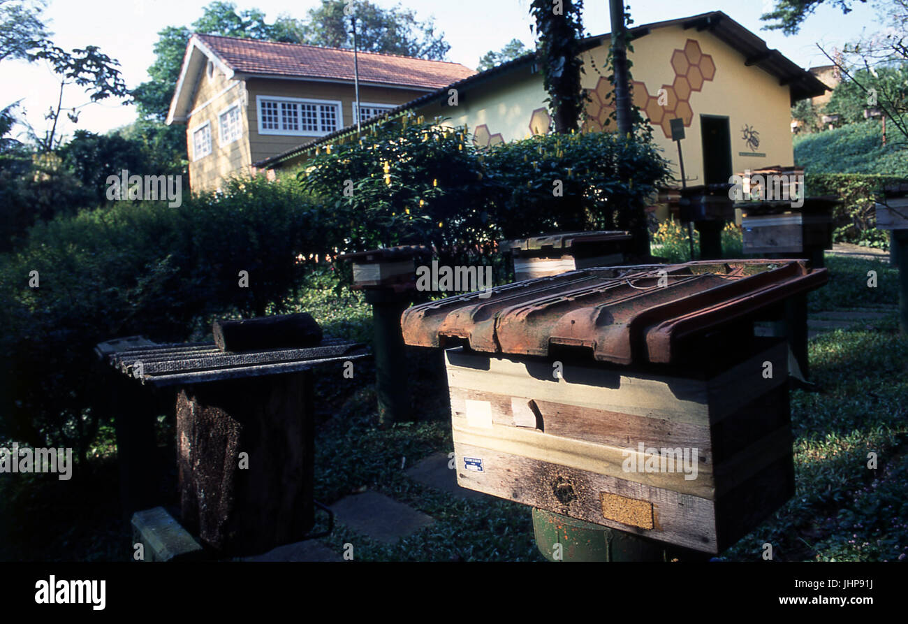 Maison de l'abeille ; rucher ; USP Banque D'Images