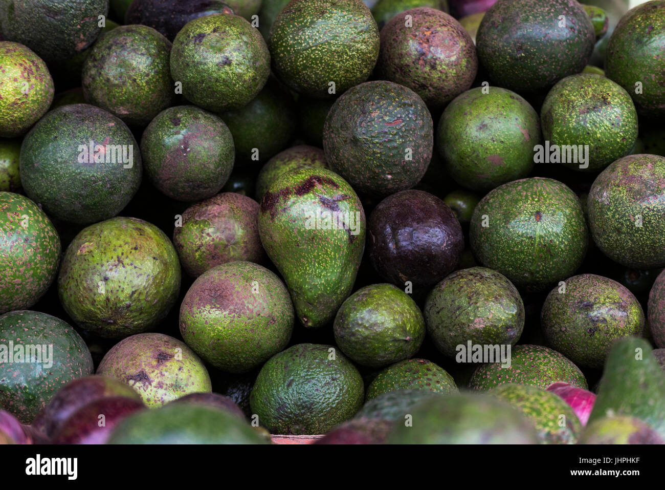 Un gros tas de fruit vert sain avocats en marché dans Addis Ababa Ethiopie Banque D'Images