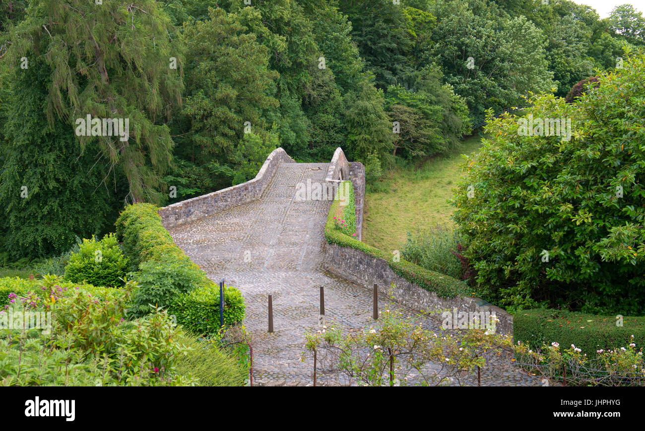 L'Auld Brig à Alloway dans Ayrshire appelé Brig o' Doon, avec roses blanches et rouges qui poussent sur le mur du pont Banque D'Images