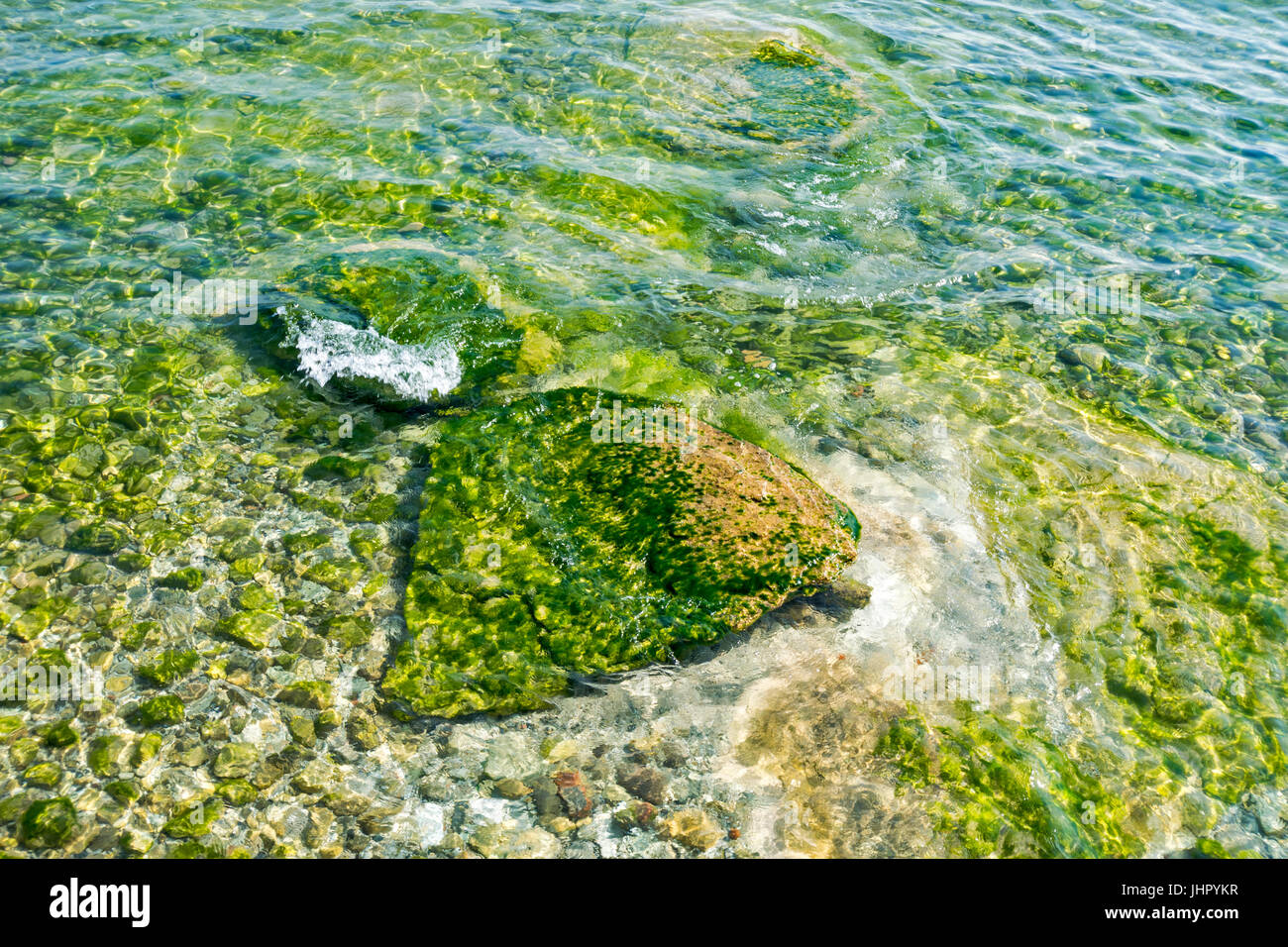 Lac de Garde SIRMIONE Algues vertes ou les mauvaises herbes poussant sur des pierres SOUS L'EAU DU LAC Banque D'Images