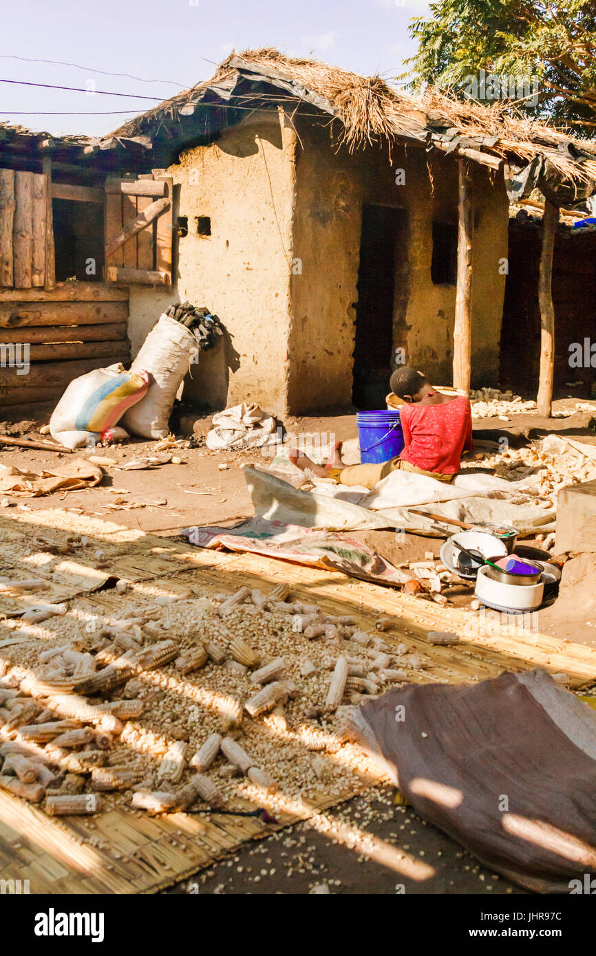 Une jeune fille du Malawi est assis sur le sol dans l'enceinte d'une maison de village entouré de maïs bombardement partie bombardé des rafles de maïs couchés sur des nattes de roseau. Banque D'Images