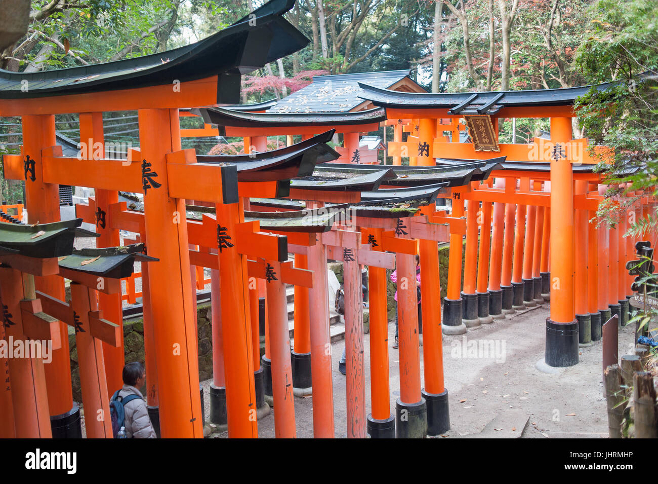 Tunnel créé par tori rouge gates au Sanctuaire Fushimi Inari, à Kyoto, Japon Banque D'Images