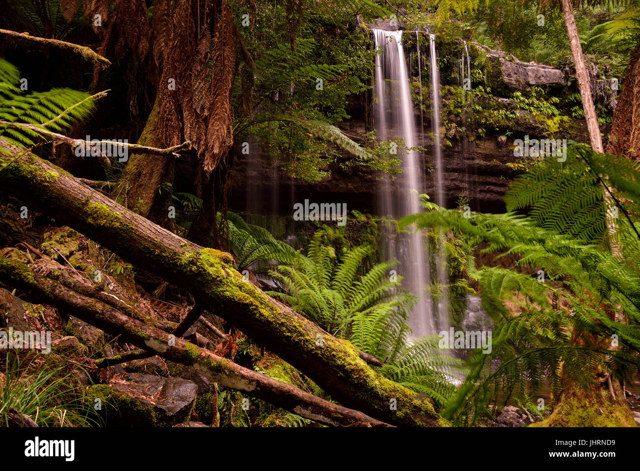 Russell Falls Mount field national park en Tasmanie, Australie. L'une des grandes attractions de la Tasmanie est son environnement originel. Banque D'Images