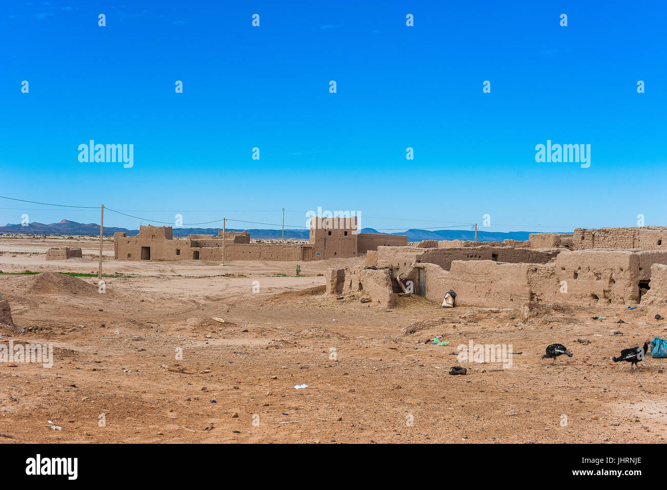 Petite ferme dans le petit village près de Merzouga, Maroc Banque D'Images