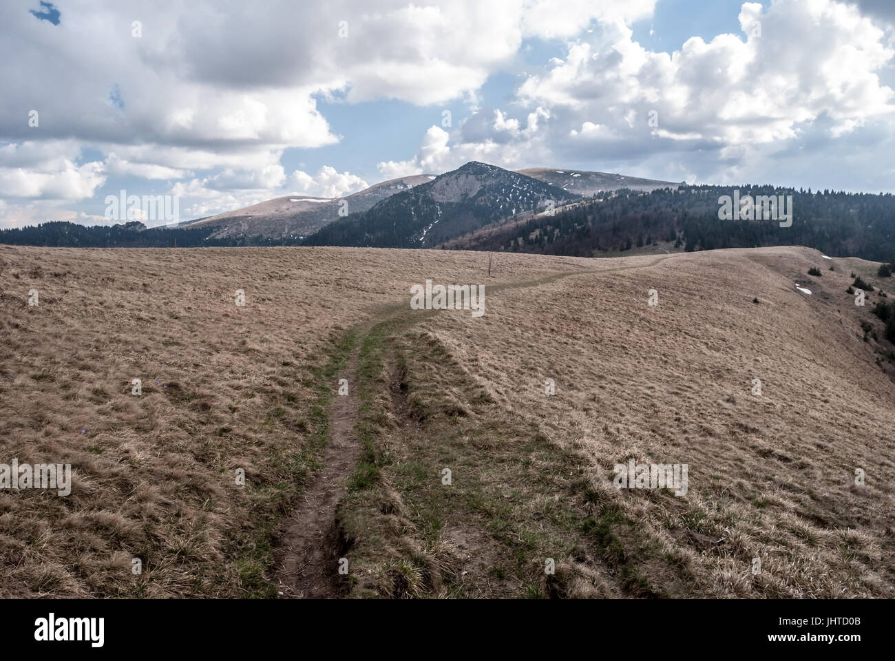 Le printemps à Velka Fatra montagnes en Slovaquie avec prairie de montagne, sentier pédestre, collines avec de petits champs de neige et ciel bleu avec des nuages Banque D'Images