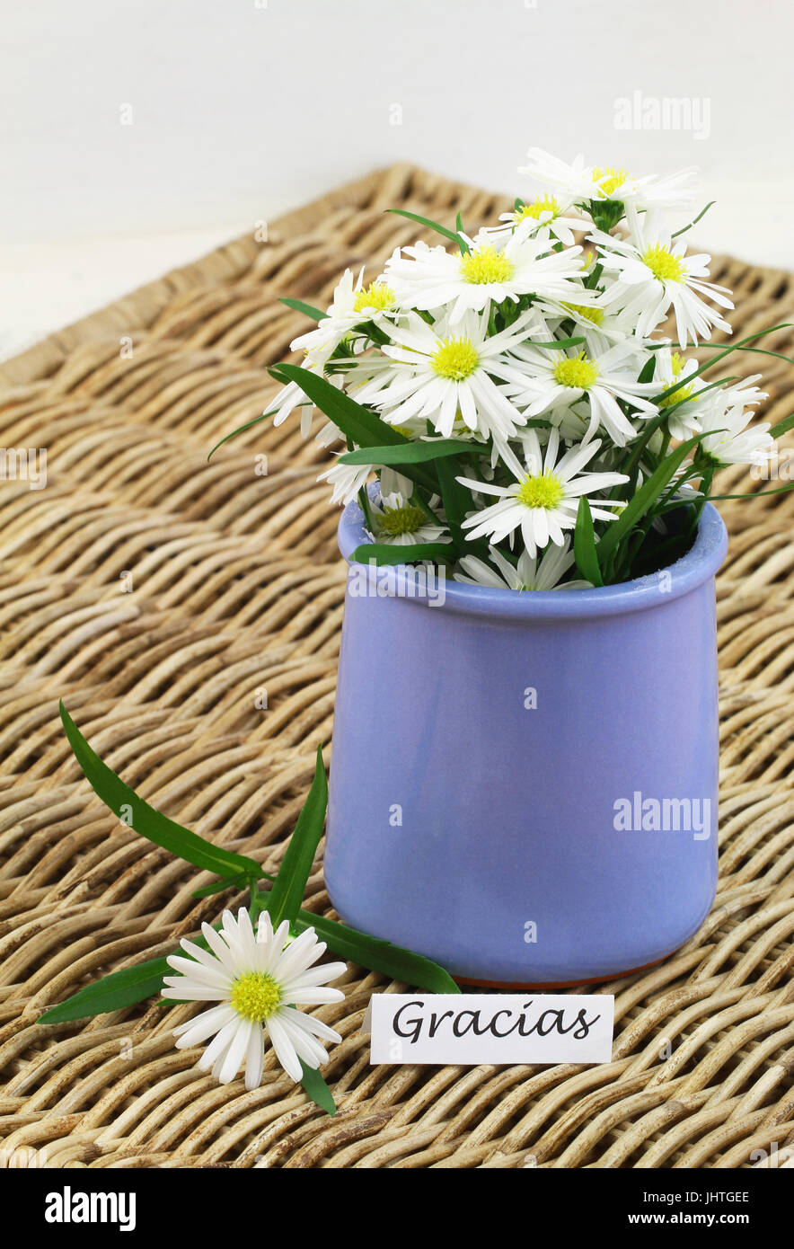 Gracias (merci en espagnol) Carte avec fleurs de camomille en bleu vase sur surface en osier Banque D'Images
