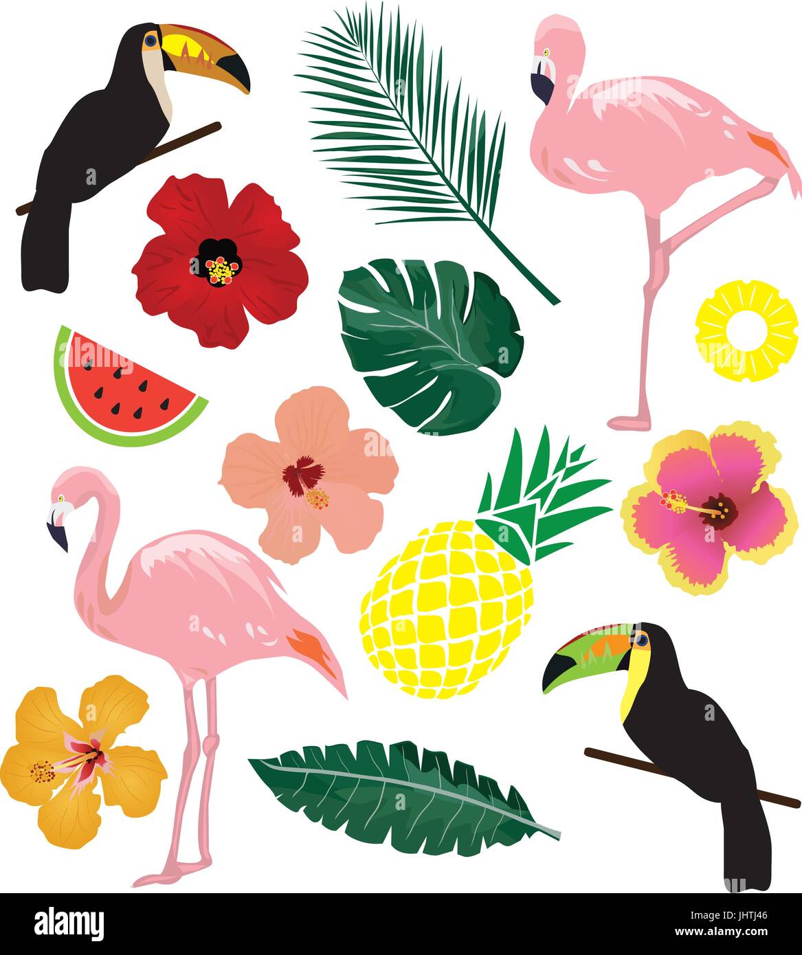 Vector illustration d'éléments tropicaux, d'oiseaux, les feuilles, l'ananas, de fleurs Illustration de Vecteur