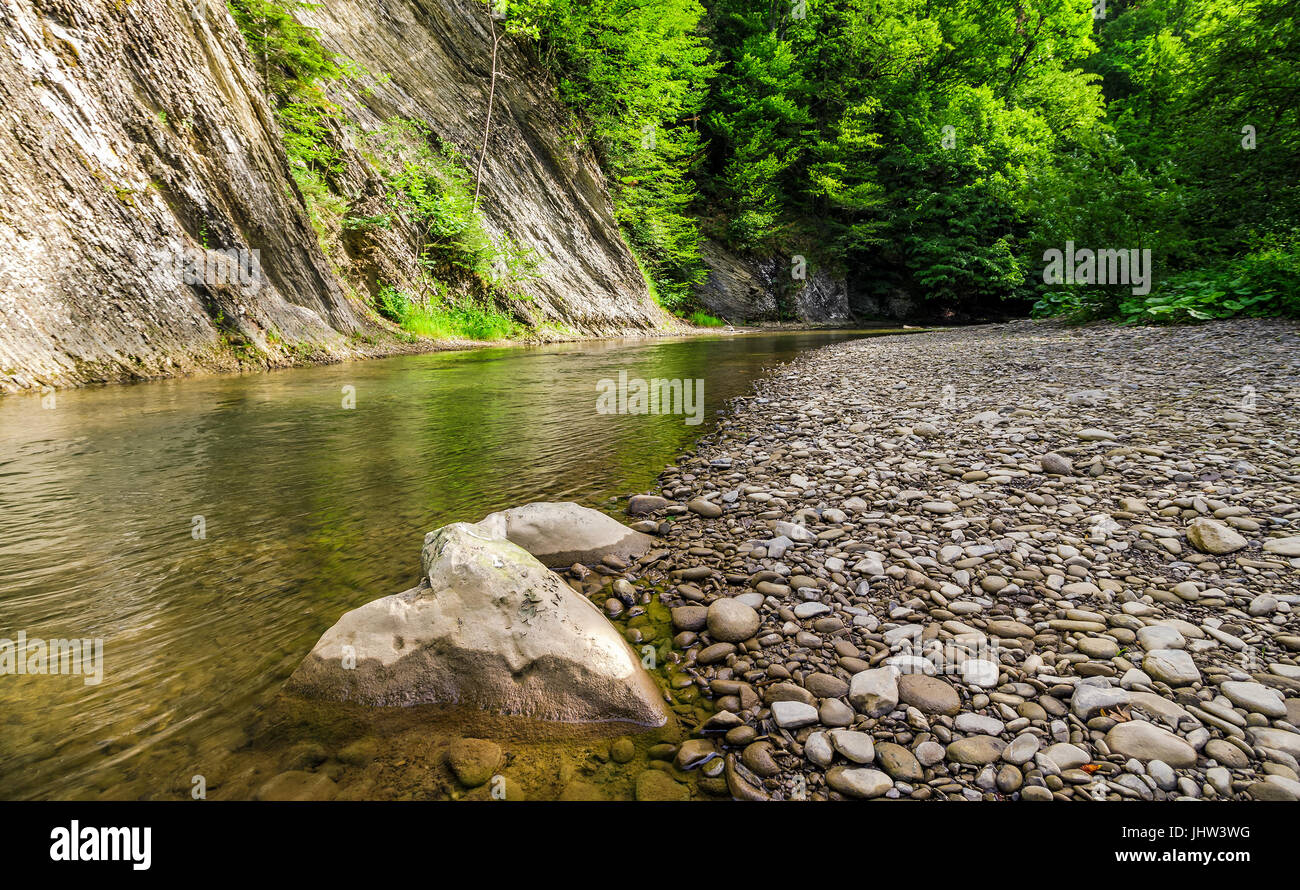 Rivage rocheux de la rivière de la forêt calme nature fond d'été frais. Banque D'Images