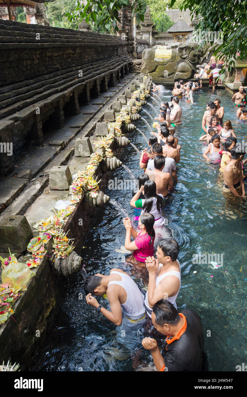 Les balinais dans l'eau de source saint de bassin sacré à Pura Temple Tirta Empul, Tampaksiring, Bali, Indonésie Banque D'Images