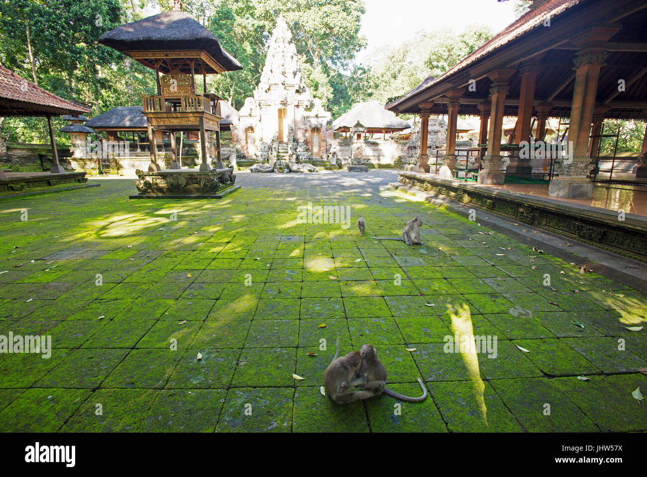 Temple Hindou, Pura Dalem Agung, Monkey Forest, Ubud, Bali, Indonésie Banque D'Images