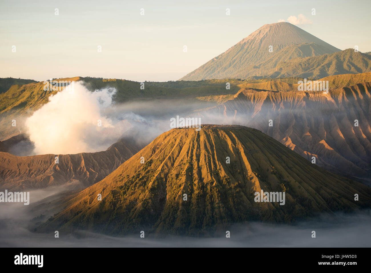 Vue panoramique sur le Mont Bromo et le Mont Semeru volcans actifs au lever du soleil dans l'Est de Java en Indonésie. Banque D'Images