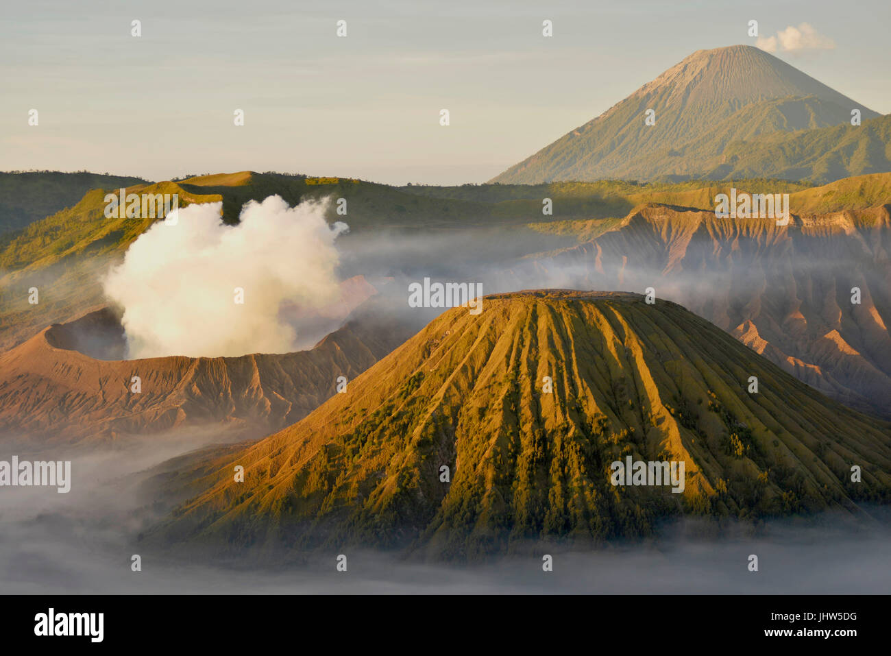Vue panoramique sur le Mont Bromo et le Mont Semeru volcans actifs au lever du soleil dans l'Est de Java en Indonésie. Banque D'Images