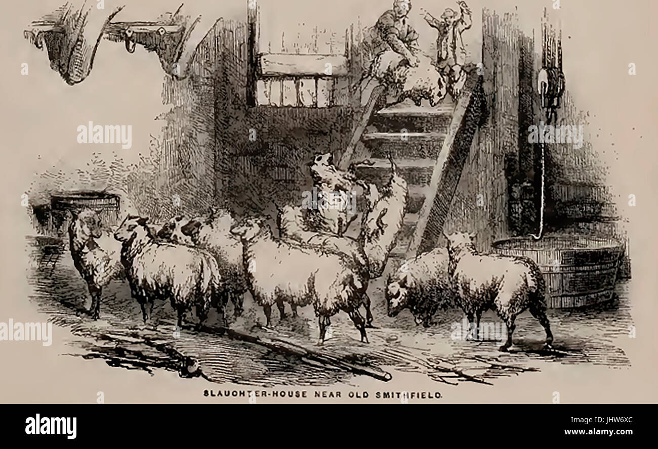 Un 19e siècle abattoir - abattoir.près de Smithfield Market, Londres Banque D'Images