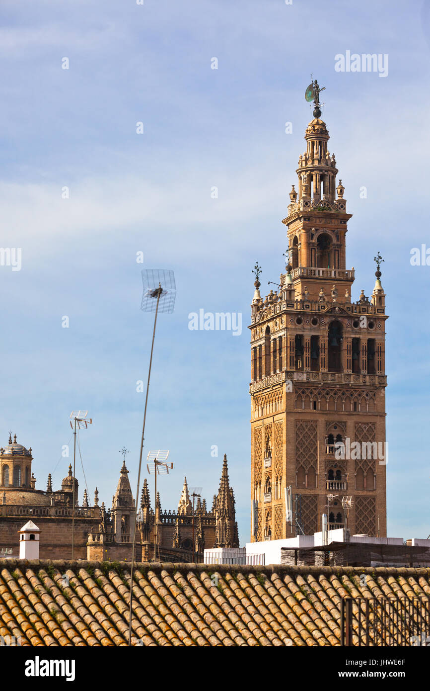 Catedral de Sevilla (Catedral de Santa María de la Sede), l'Espagne et les toits résidentiels Banque D'Images