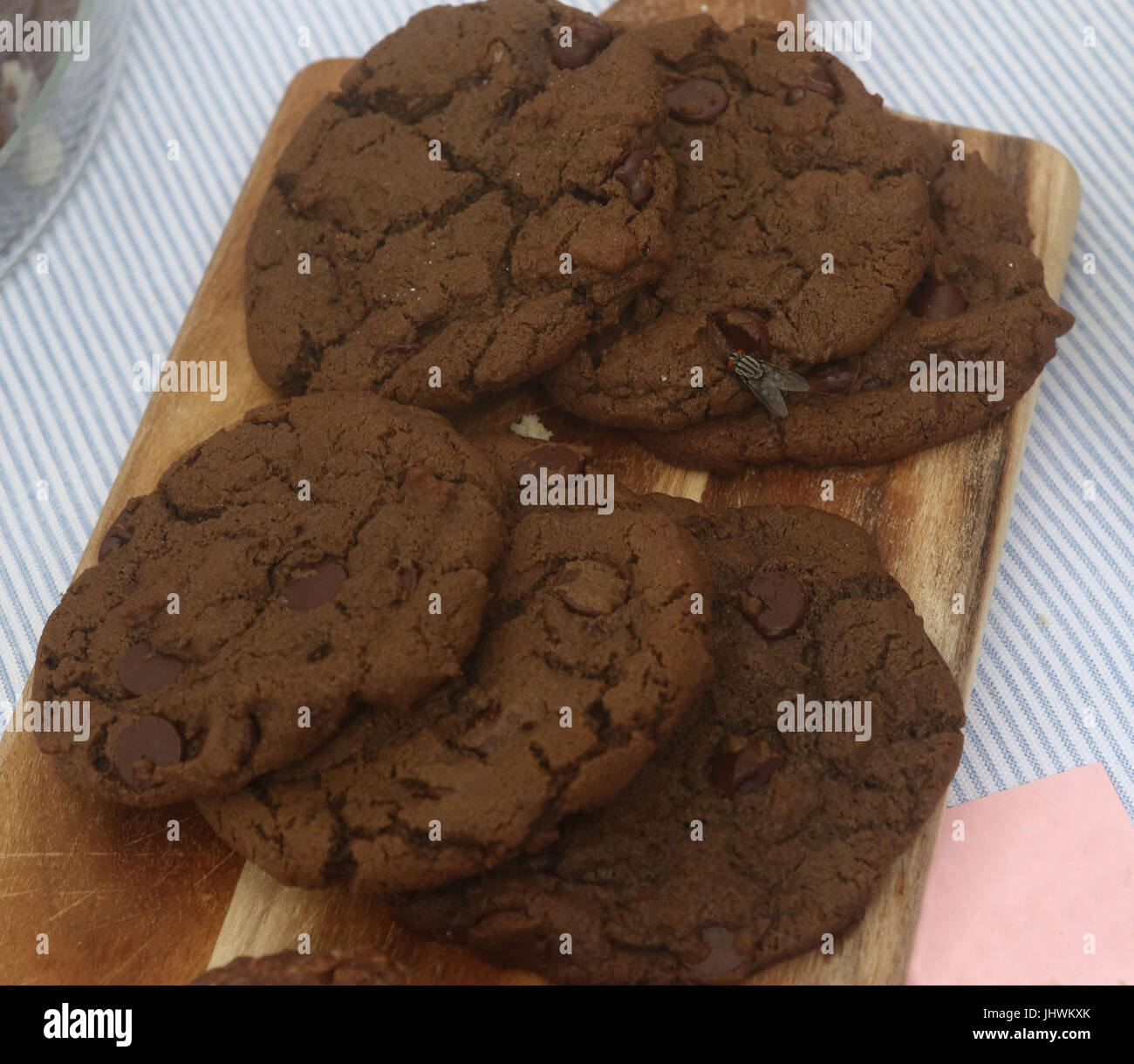 Mouche domestique mange les cookies double chocolat sur une maquette Banque D'Images