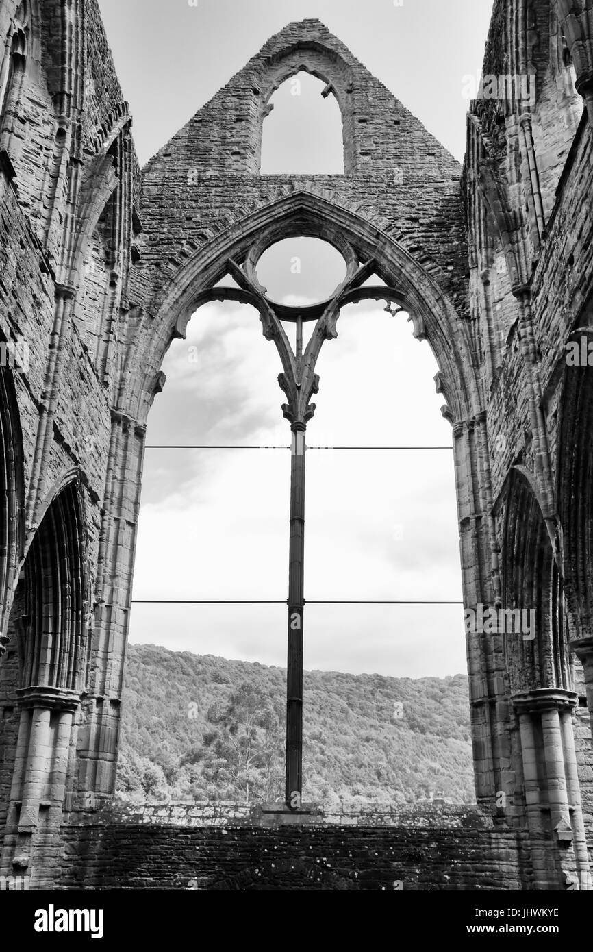 Pf ruines Abbaye de Tintern, Pays de Galles, Royaume-Uni Banque D'Images