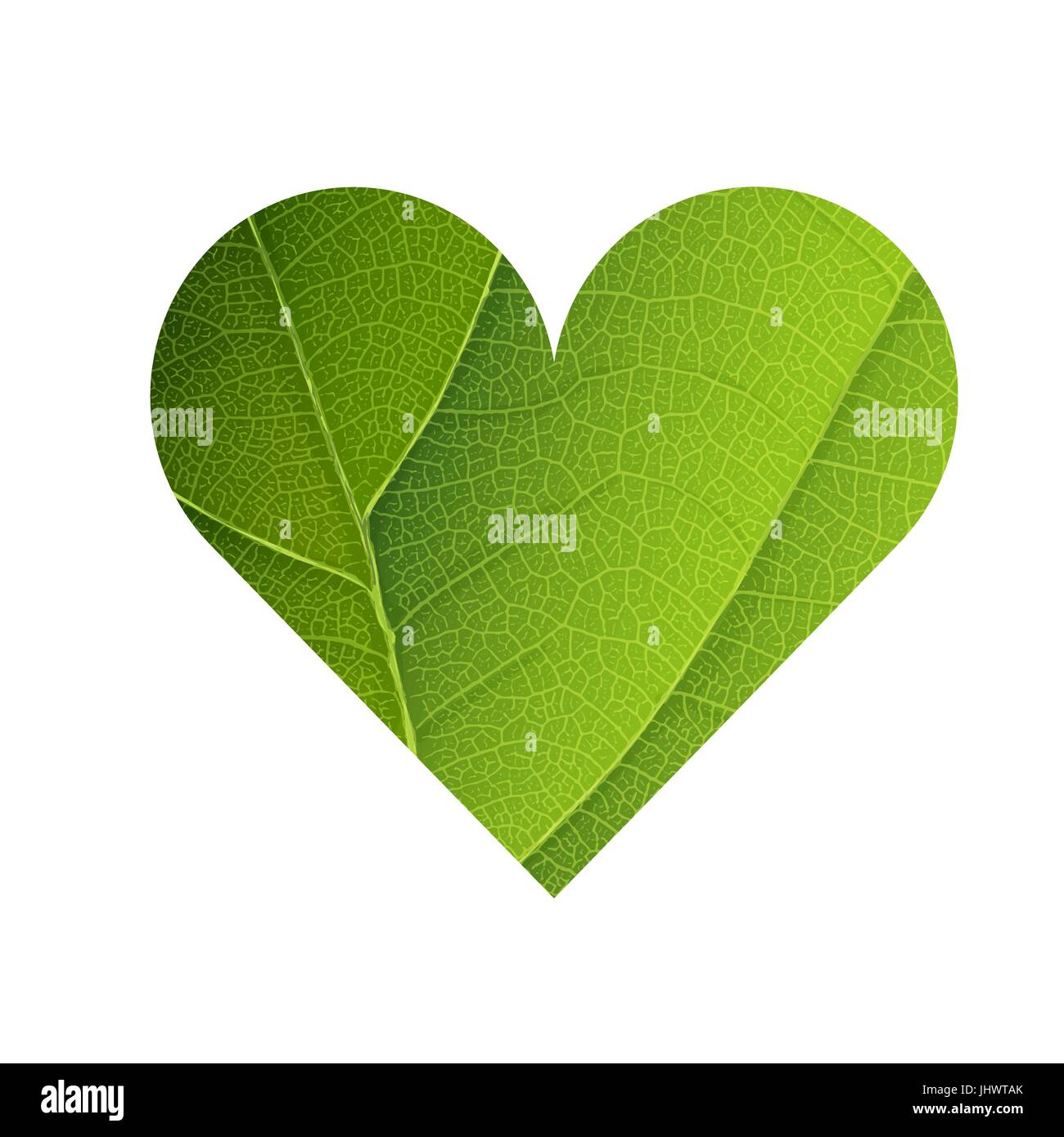 Nervures des feuilles vertes en forme de Cœur de texture. Le jour de la terre Concept Design. Modèle isolé Illustration de Vecteur