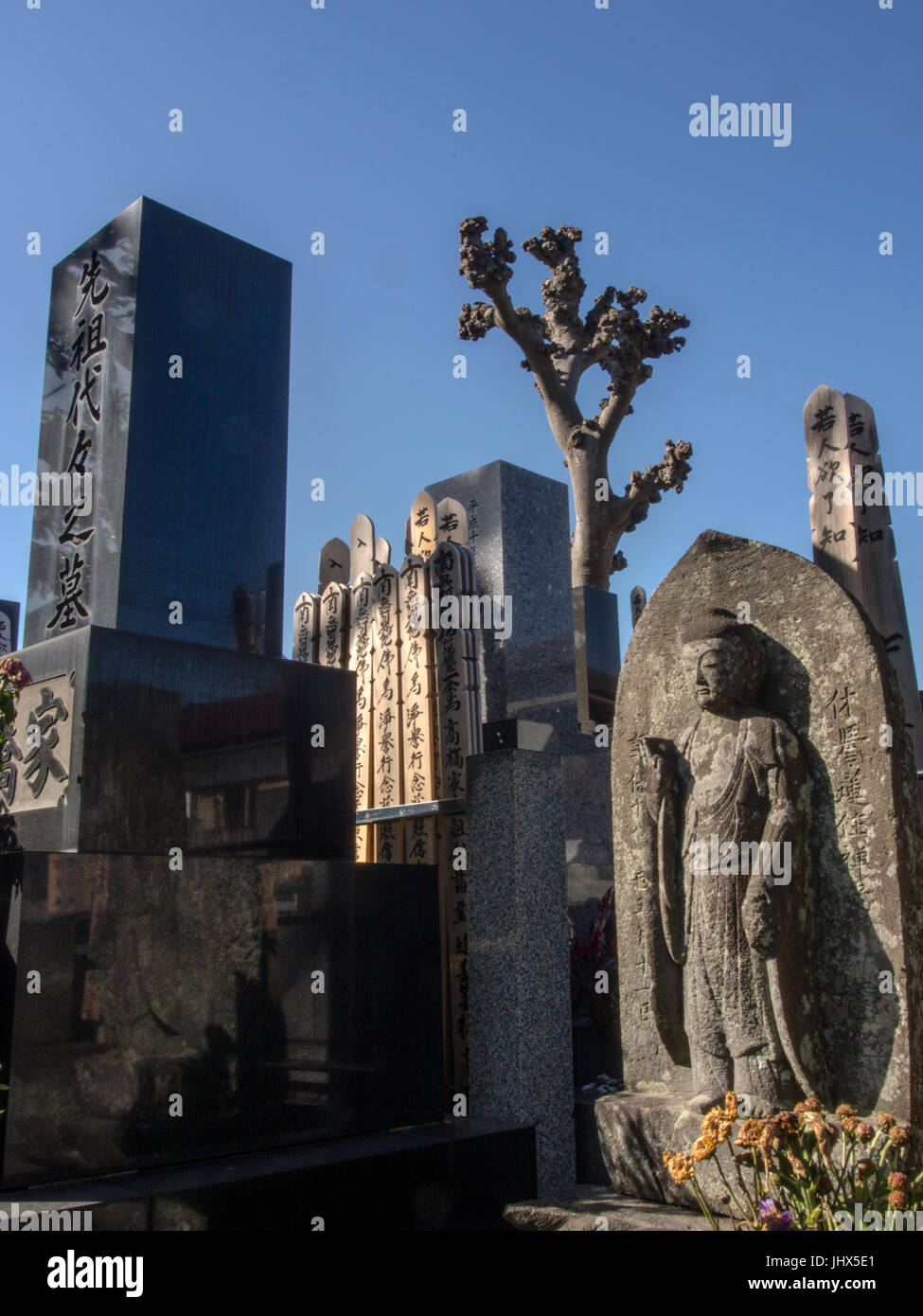 Cimetière bouddhiste avec statue sculptée, marqueurs memorial, hiver arbre élagué et réflexions. Kamakura, Kanagawa, Japon Banque D'Images