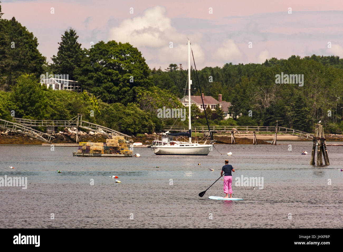 Une femme utilise son paddleboard à Pemaquid Harbor, dans le village de nouveau port de la ville de Bristol, Maine, USA. Banque D'Images