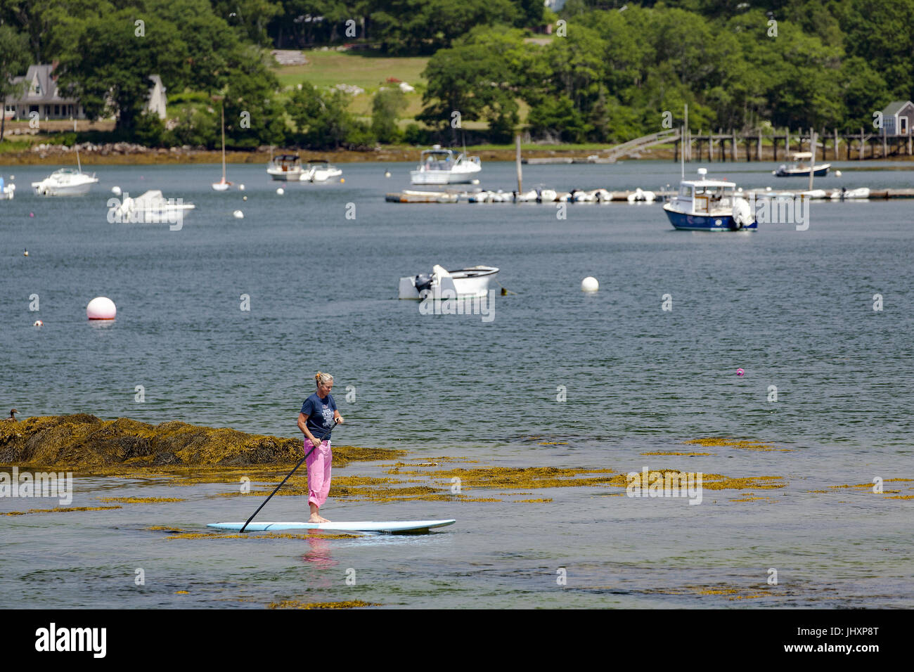 Une femme utilise un paddleboard dans le port de Pemaquid dans le village de nouveau port de la ville de Bristol, Maine, USA. Banque D'Images