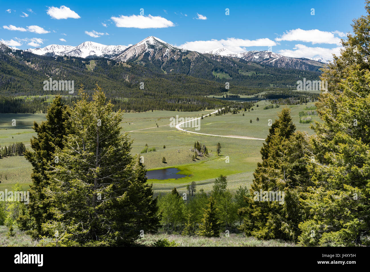 Oublier sur le Scenic Byway, l'Idaho de scie Banque D'Images