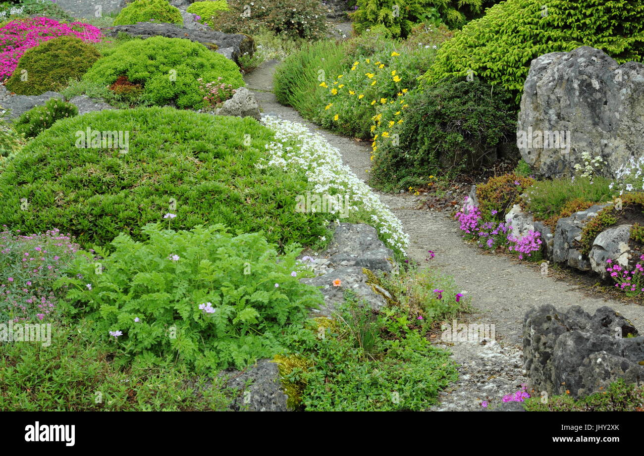 Détail de l'alpine Rock Garden à Croft sapin ; Le Centre des plantes alpines, Calver, Hope Valley, Derbyshire à la fin mai - Jardin National Scheme, 2017 Banque D'Images