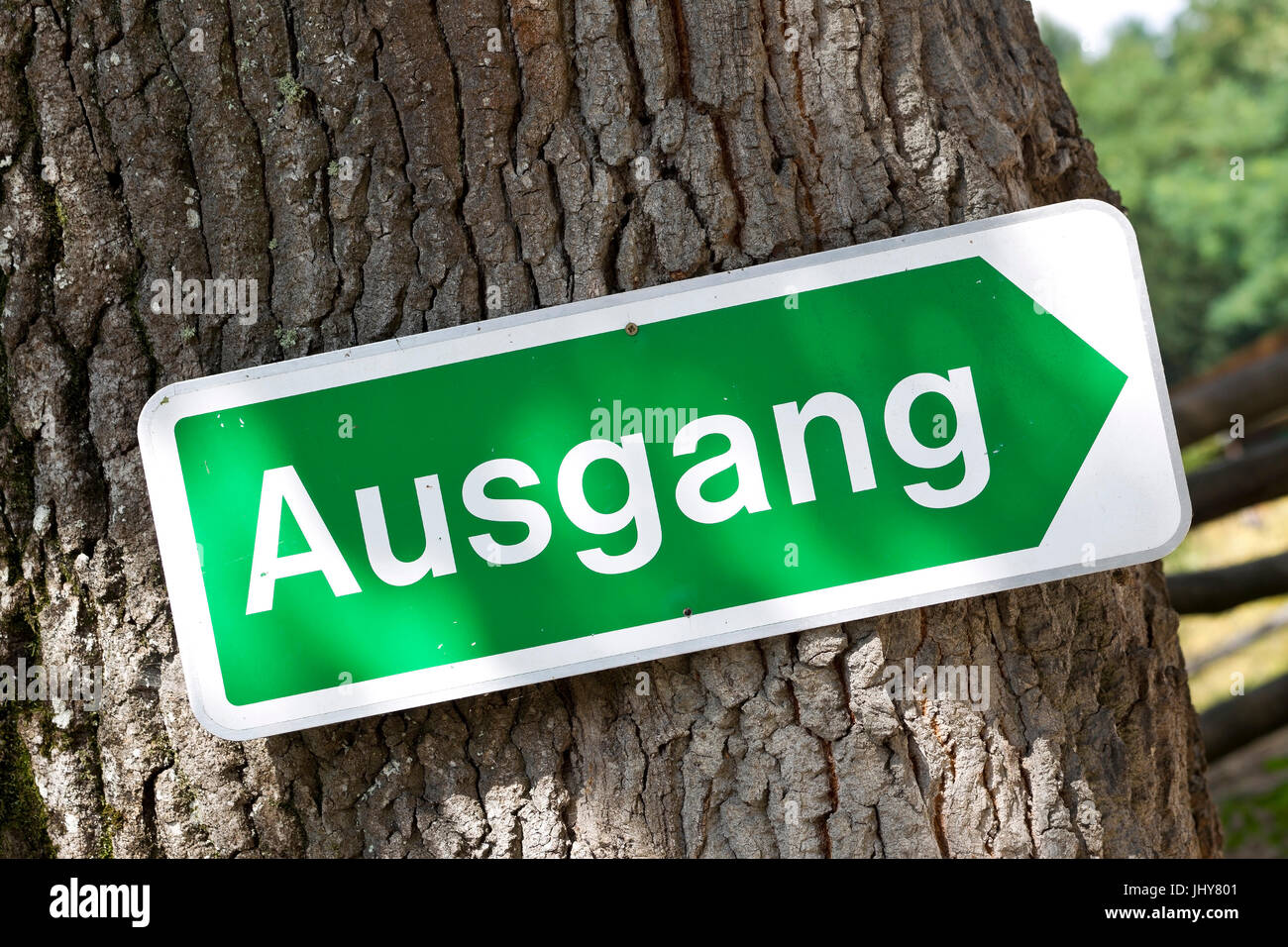Signer dans un arbre, sortie - étiquette adhésive sur un arbre, un Schild, einem Baum, Ausgang - étiquette adhésive sur un arbre, Banque D'Images