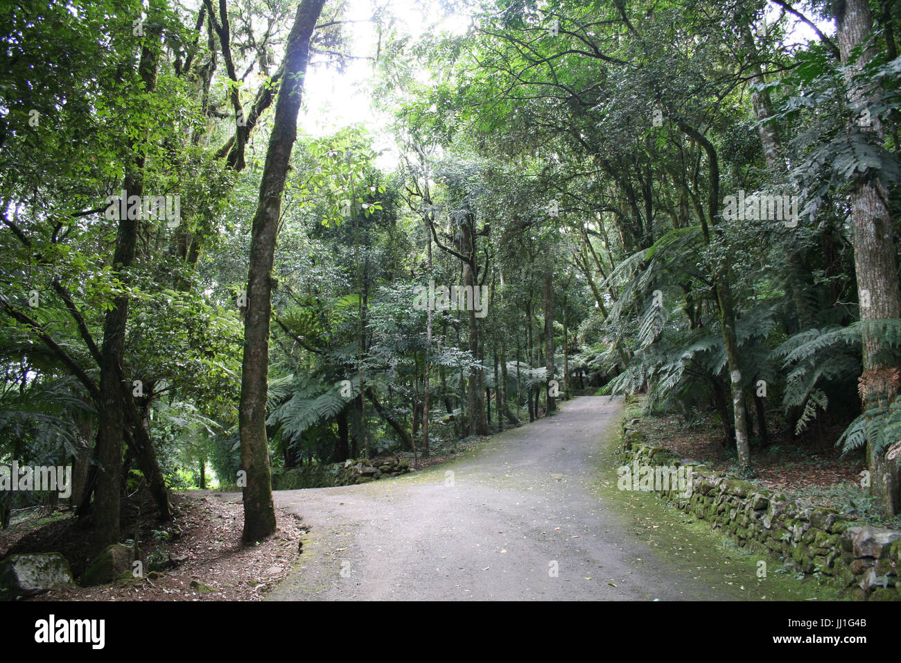 Nova Petropolis, Rio Grande do Sul, Brésil. Banque D'Images