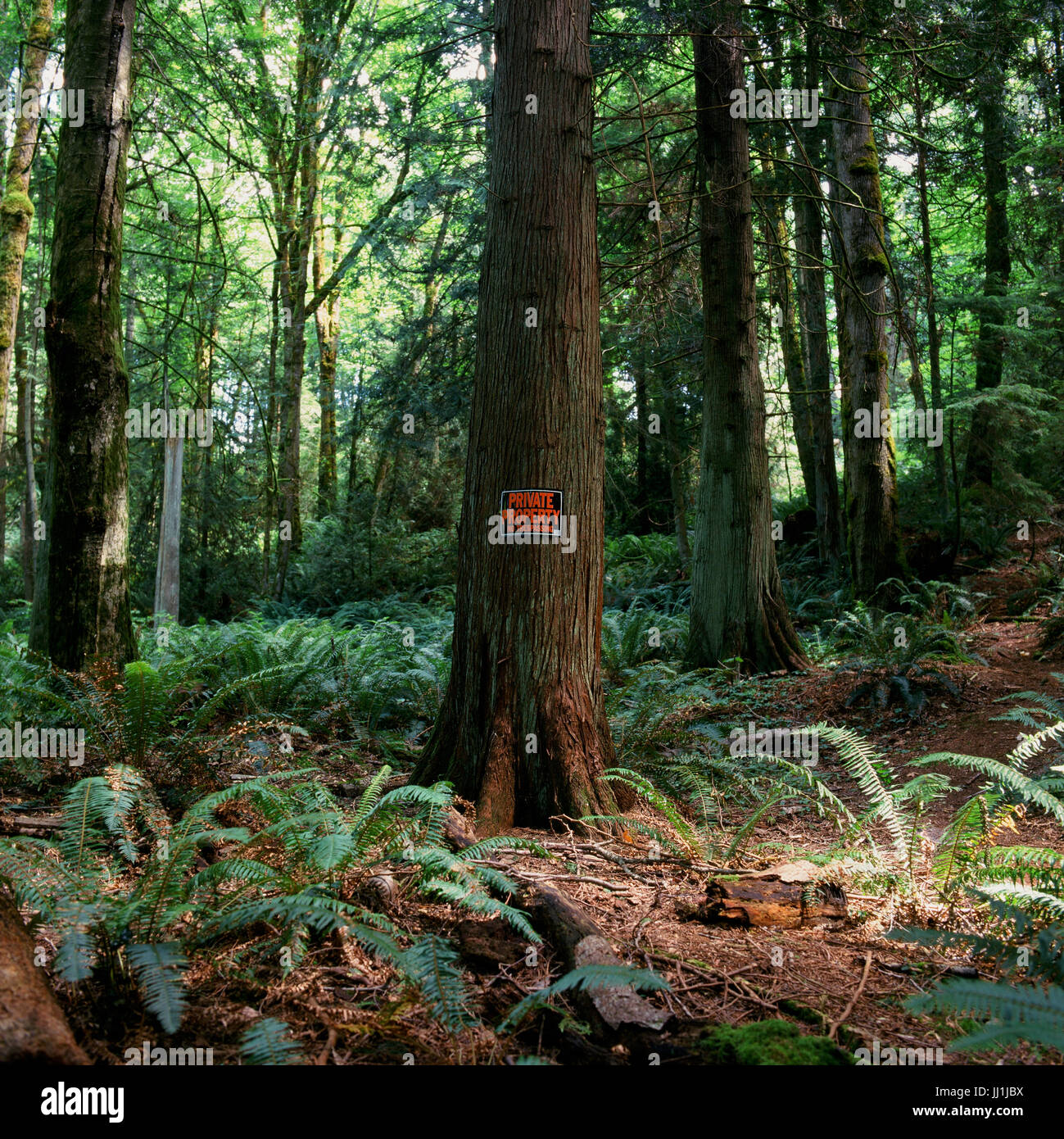 De penser que nous sommes propriétaires de cette terre. Si ce que la terre nous appartient.   Hasselblad 5003CX Carl Zeiss Planar 80 mm f/2,8 T* film Dia Fujichrome Astia 100F (220) Banque D'Images