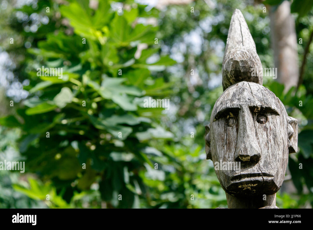 Statue en bois patiné de style tribal en forêt tropicale. Banque D'Images