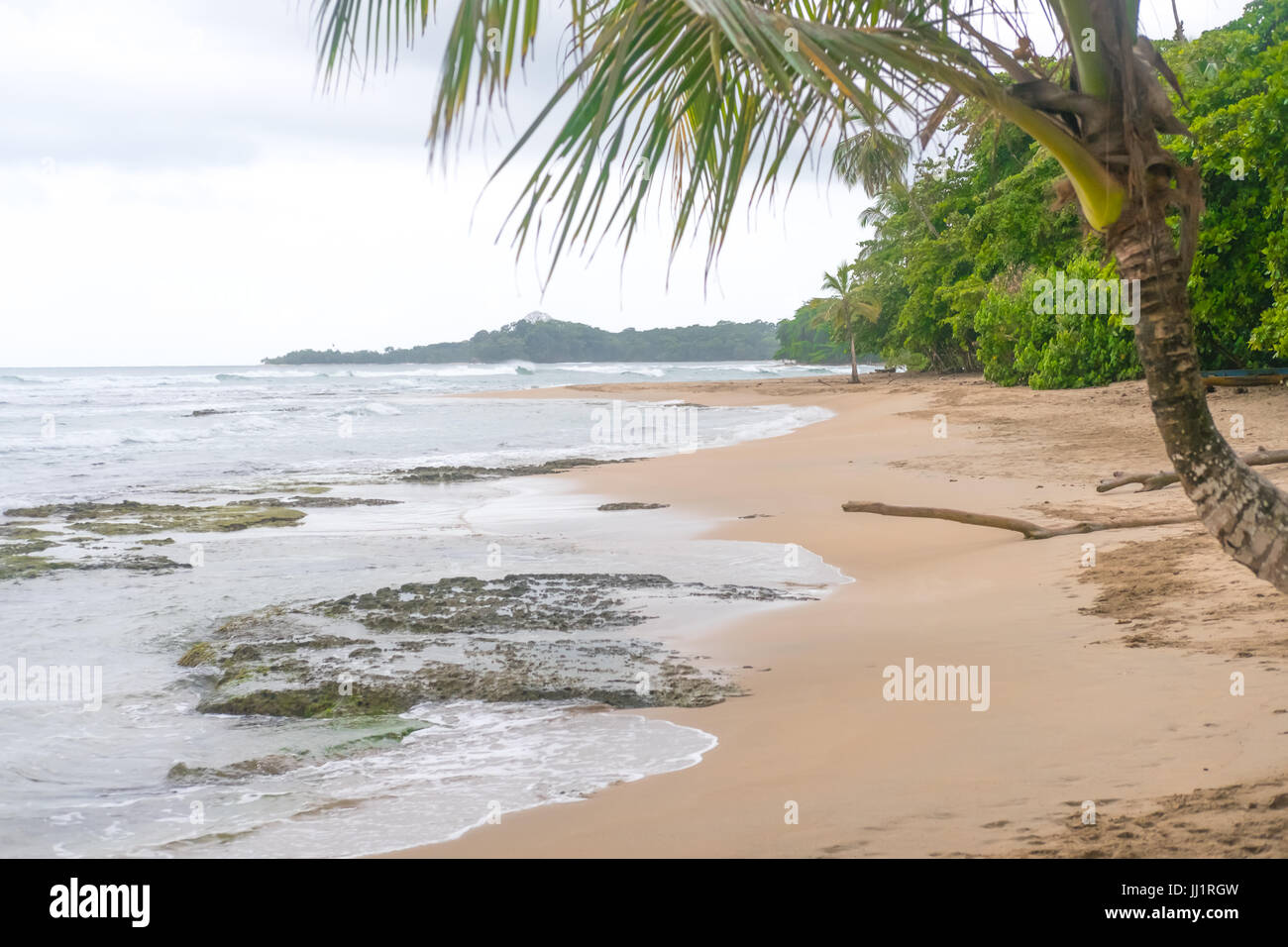 Costa Rica Plage Palmiers Caibbean Paradis Touristique