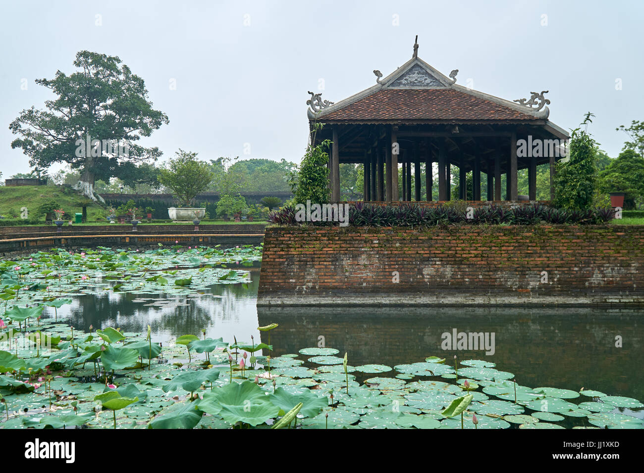 Pavillon traditionnel vietnamien avec de l'eau lilys à Hue, ville impériale, au Vietnam. Banque D'Images