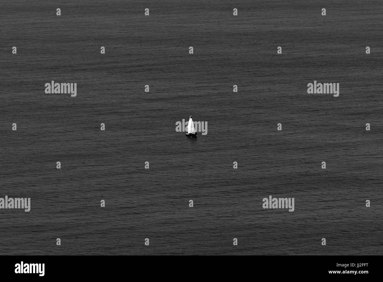 Image en noir et blanc d'un seul bateau dans un océan calme (San Sebastian, Guipuzcoa, Pays Basque, Espagne). Banque D'Images