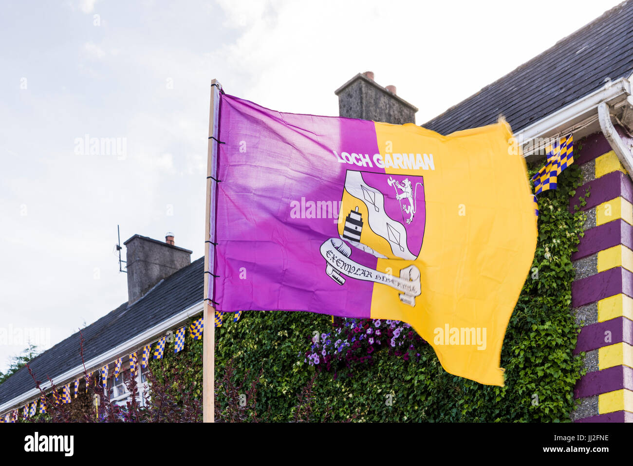 Une maison dans le comté de Wexford décorées dans beaucoup de fleurs, et les drapeaux et les couleurs de l'Wexford GAA TDAMR, violet et jaune. Banque D'Images Une maison dans le comté de Wexford décorées dans beaucoup de fleurs, et les drapeaux et les couleurs de l'Wexford GAA TDAMR, violet et jaune. Banque D'Images