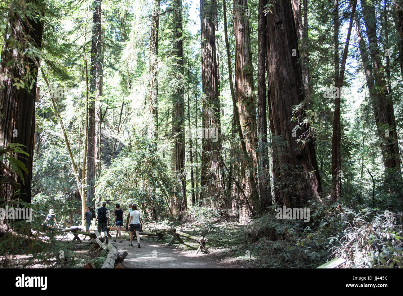 Californie Banque D'Images