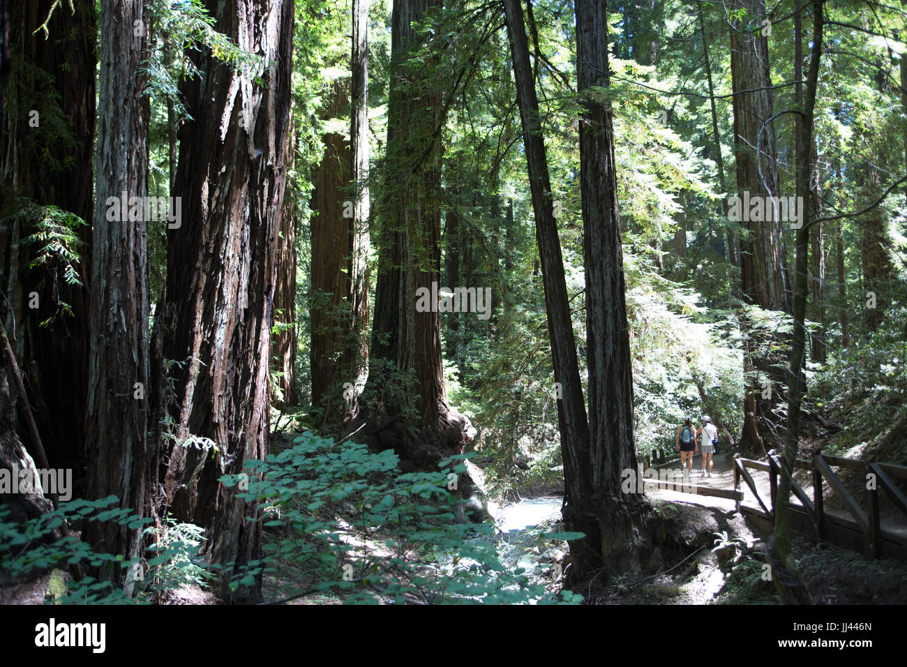 Californie Banque D'Images