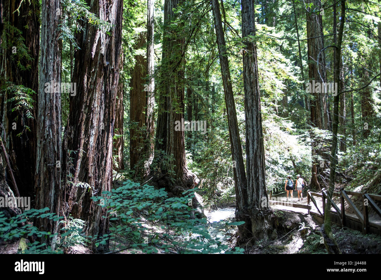 Californie Banque D'Images