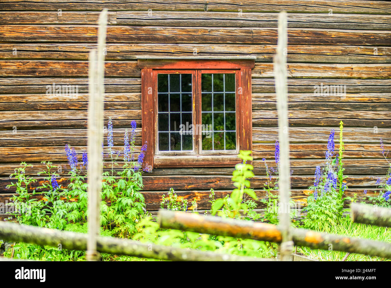 Vieille maison en bois résidentielle traditionnelle avec de belles fleurs de jardin et de vitre rouge situé à Leksands Homestead Museum en Dalécarlie Leksand Suède Banque D'Images