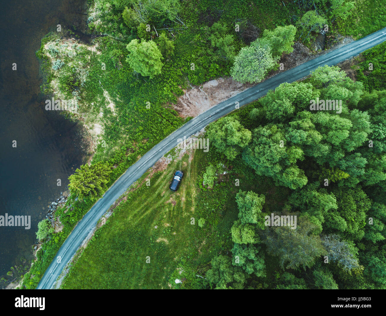 Belle vue aérienne de route de campagne en vert forêt, paysage de drone Banque D'Images