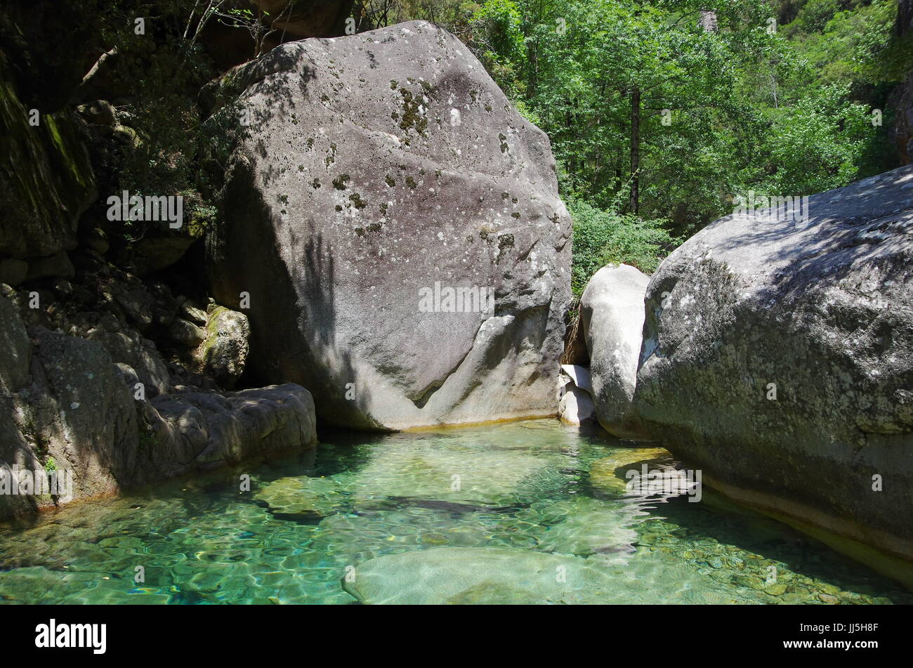 Le idillyc des cascades et des piscines de Purcaraccia canyon, entre les Aiguilles de Bavella. Banque D'Images