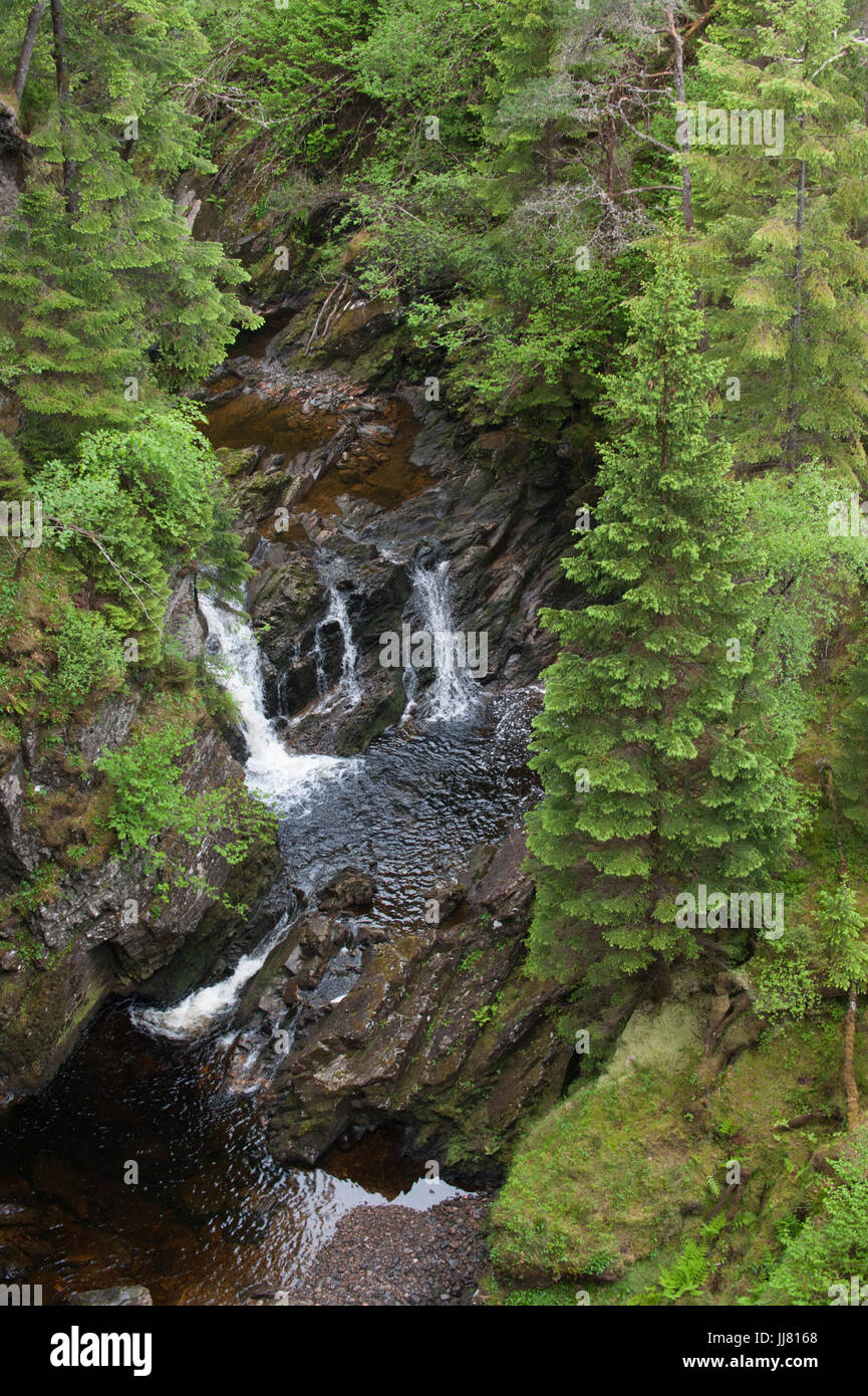 Plodda Falls, Glen Affric, Inverness-shire, les Highlands écossais Banque D'Images