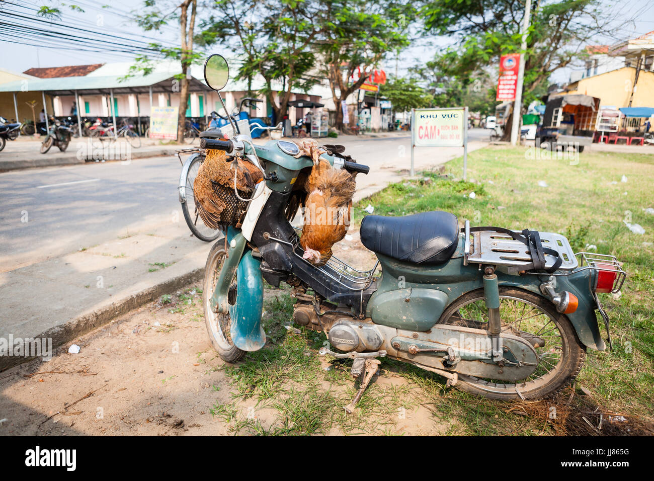 Centre Vietnam - 14 mars 2017 : le point de vue du transport de volailles vivantes est de lier les oiseaux à la trottinette Banque D'Images