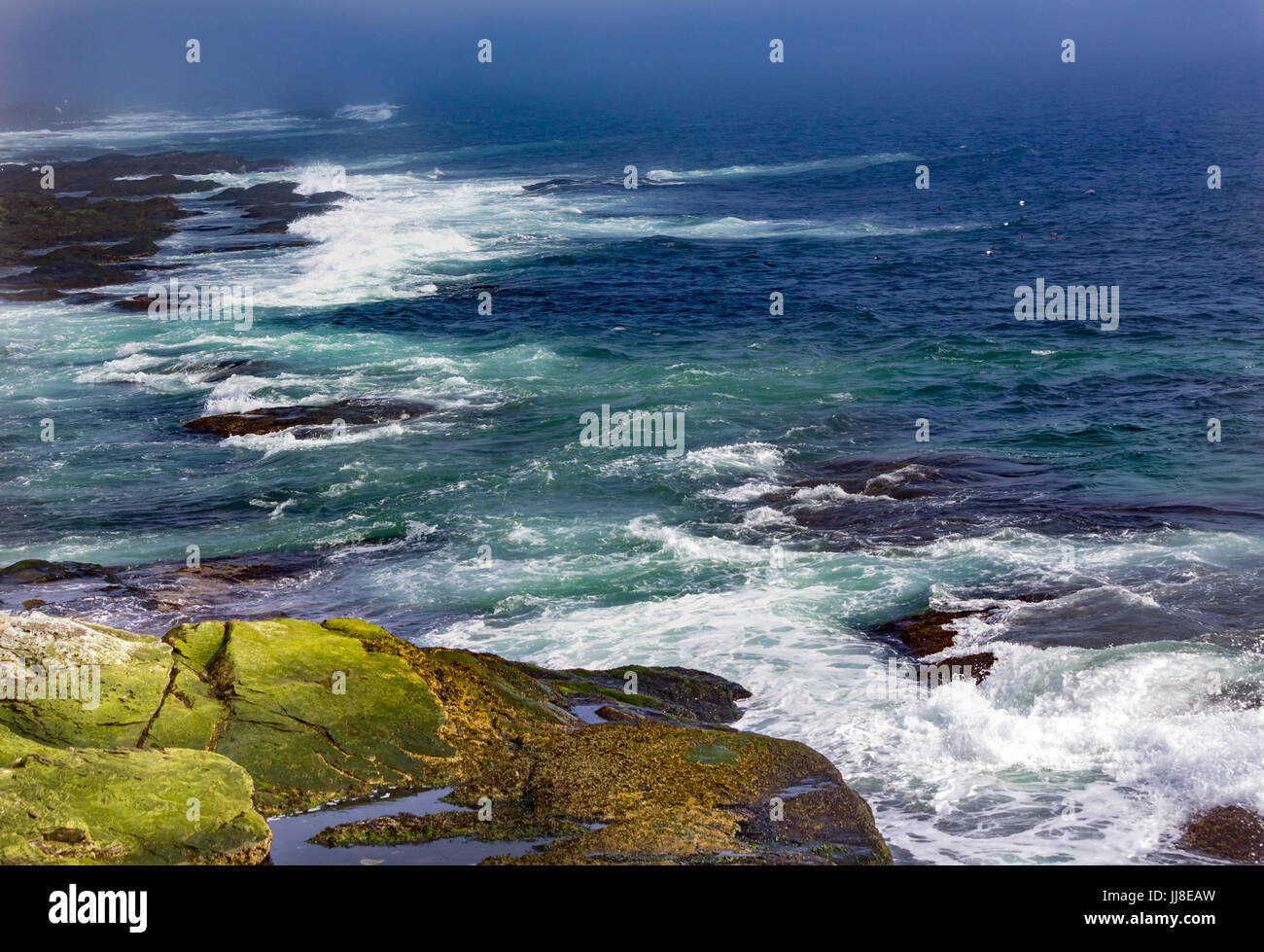 Dès les beaux jours d'hiver, les vagues de l'océan bleu vif et crash mouettes voler dans Jamestown, Rhode Island de castor. Banque D'Images