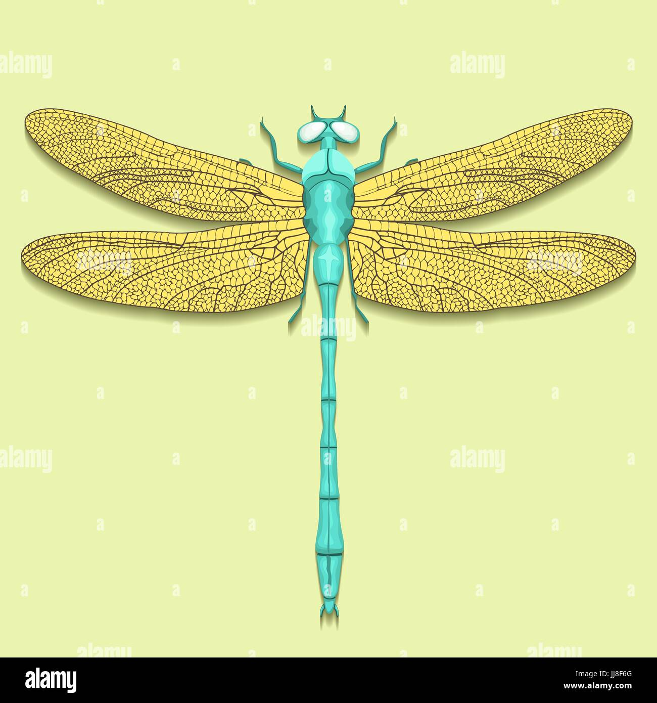 Bleu libellule à ailes jaunes, vue de dessus, isolé sur fond vert clair, insecte vecteur Illustration de Vecteur