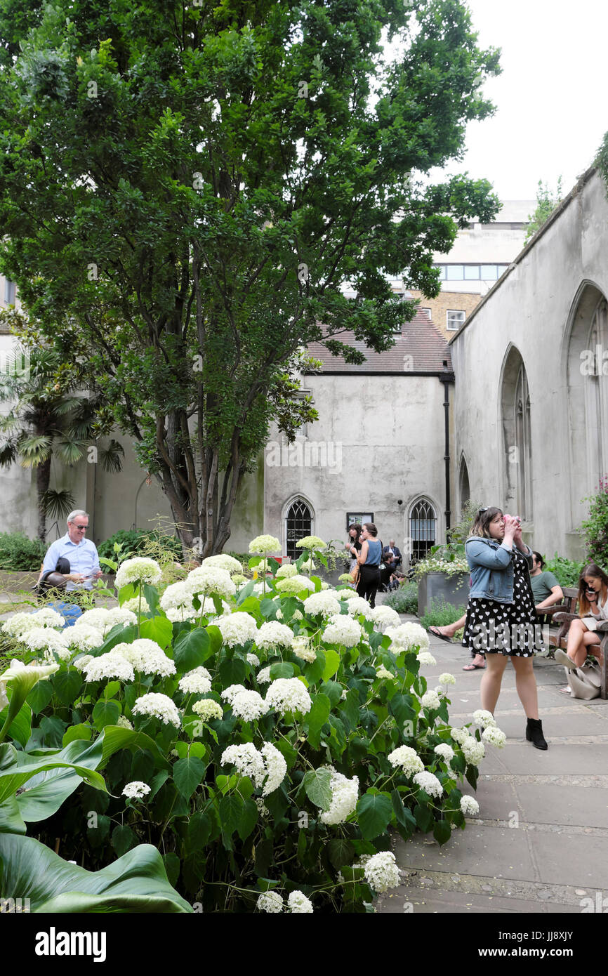 St Dunstan dans la ville urbaine de l'été dans le jardin London EC3 England UK KATHY DEWITT Banque D'Images